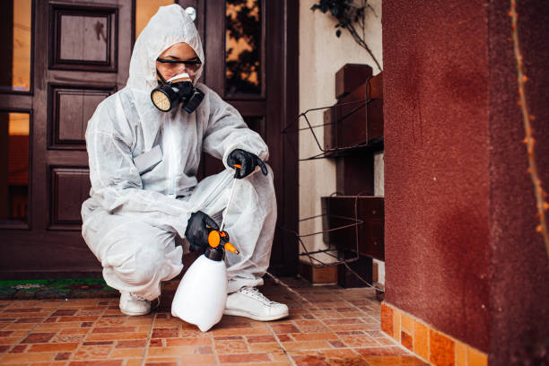 Reliable Cockroach Control contractor in Port Royal, SC by Nex Pest Control